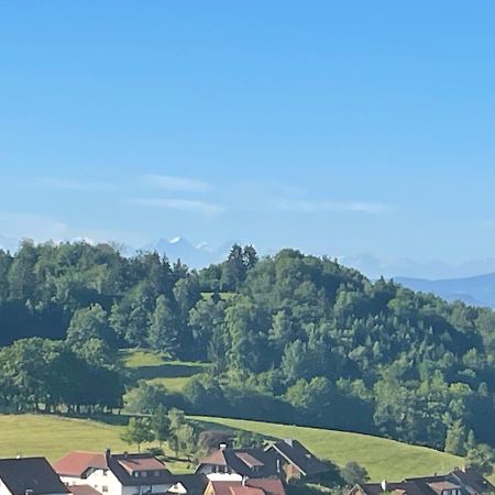 Blumenhof - Erholung Pur, Traumhafte Aussicht Apartamento Zell im Wiesenthal Exterior foto